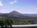 kintamani