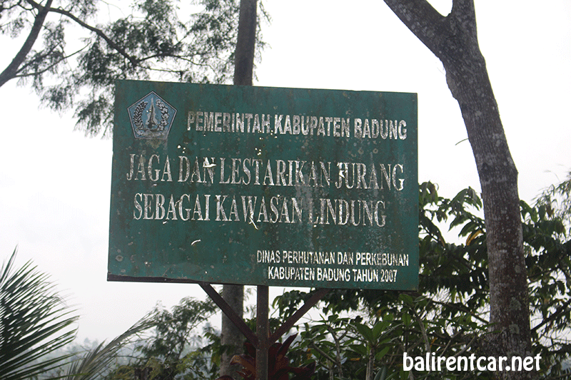 badung regency bali