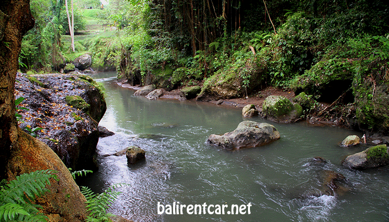 bali natura healing and panorama