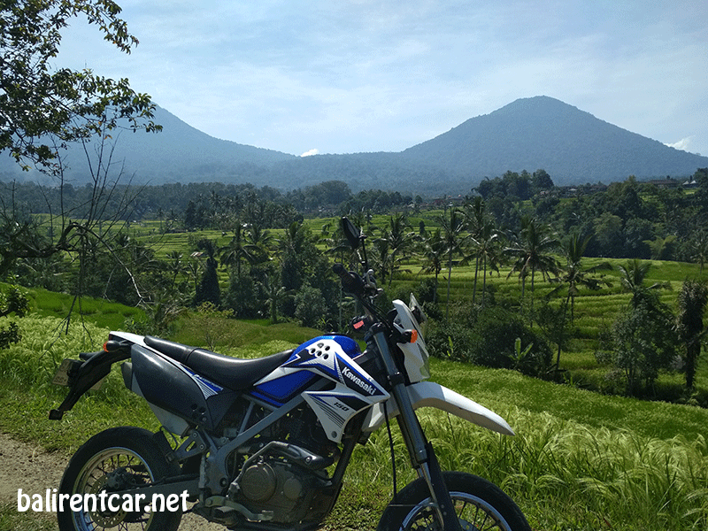 bali subak rice terrace at jatiluwih