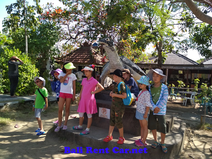 bali turtle conservation