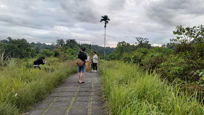 campuhan hill ubud bali