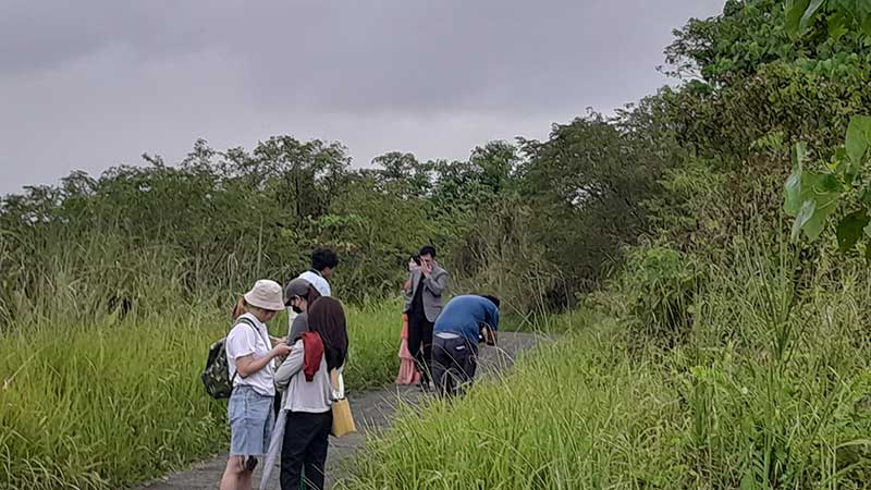 ubud bali campuhan