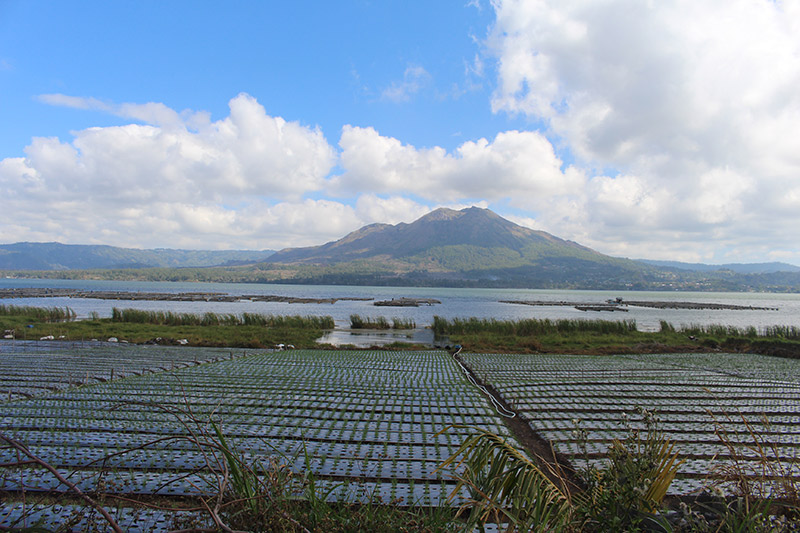 batur lake in bangli bali